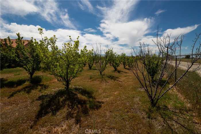 photo 13: 9995 Smoke Tree Road, Hesperia CA 92344