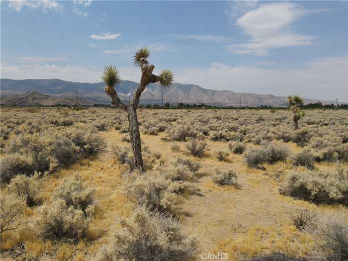 photo 2: Red Butte Rd., Lucerne Valley CA 92356