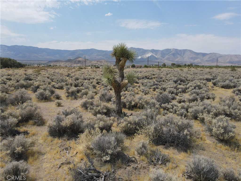 photo 3: Red Butte Rd., Lucerne Valley CA 92356