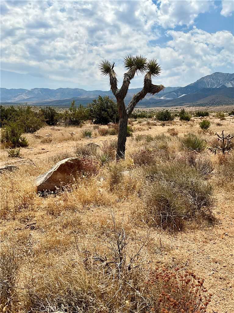 photo 2: Grandview Rd., Lucerne Valley CA 92356