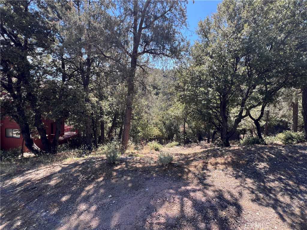 photo 1: 1416 Banff Drive, Pine Mountain Club CA 93222