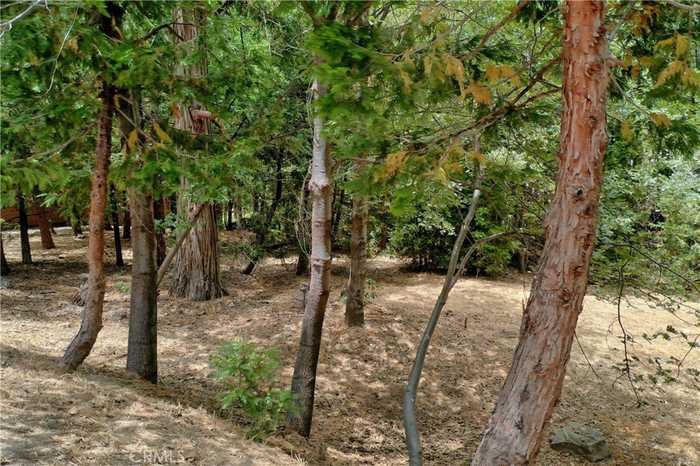 photo 1: 27513 Meadow Bay Drive, Lake Arrowhead CA 92352