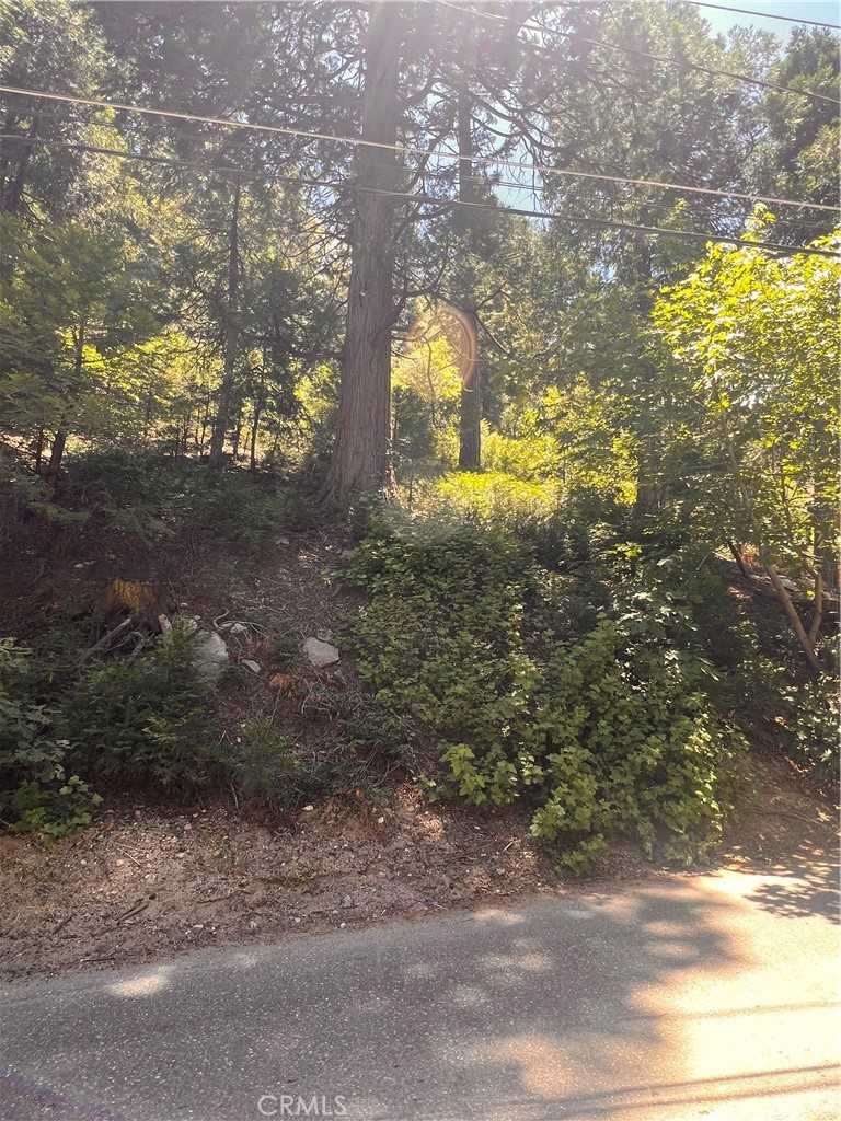 photo 2: Nesthorn, Crestline CA 92325