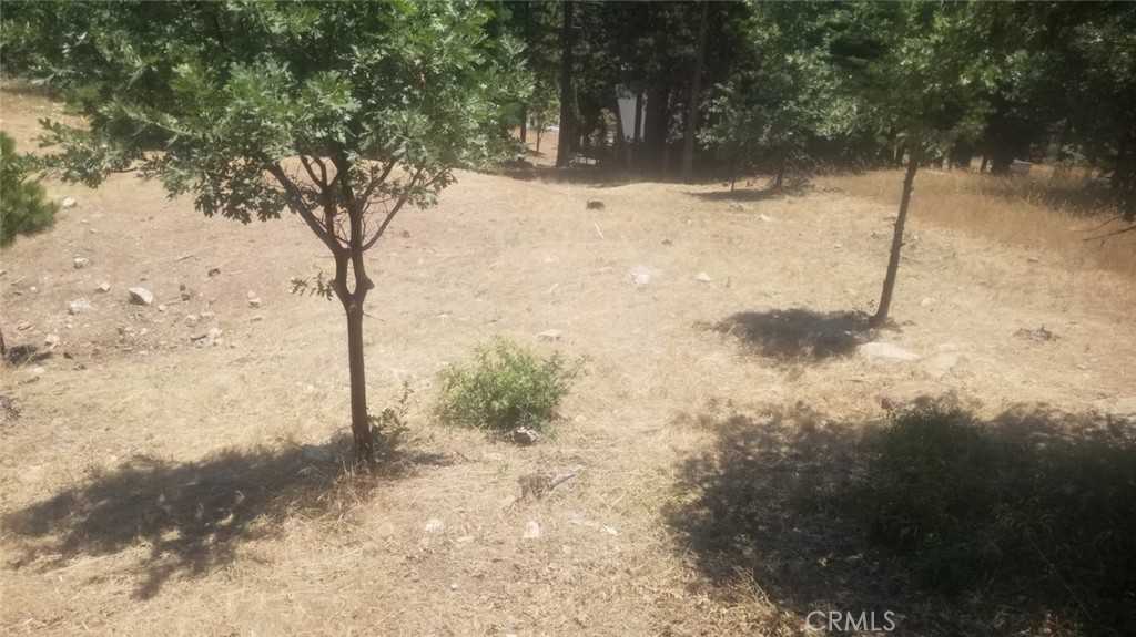 photo 1: 31533 Circle View Drive, Running Springs CA 92382