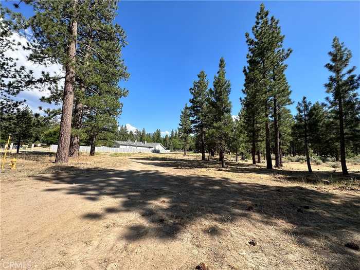 photo 1: 42725 Fox Farm Rd, Big Bear Lake CA 92315