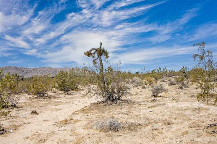 photo 16: 6563 Saddleback Road, Joshua Tree CA 92252