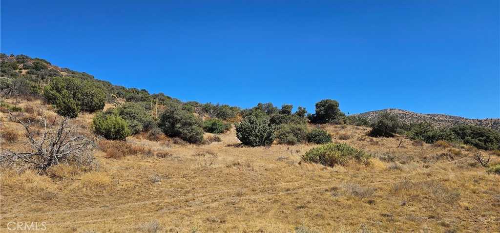 photo 1: E Antium Road, Acton CA 93550