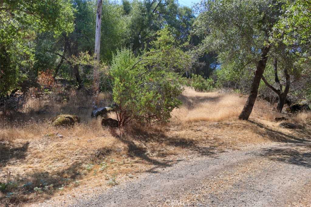 photo 1: 6 Italian Creek Road, Mariposa CA 95338