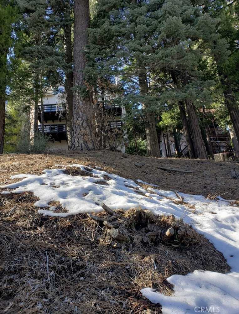 photo 2: 298 Birchwood Drive, Lake Arrowhead CA 92352