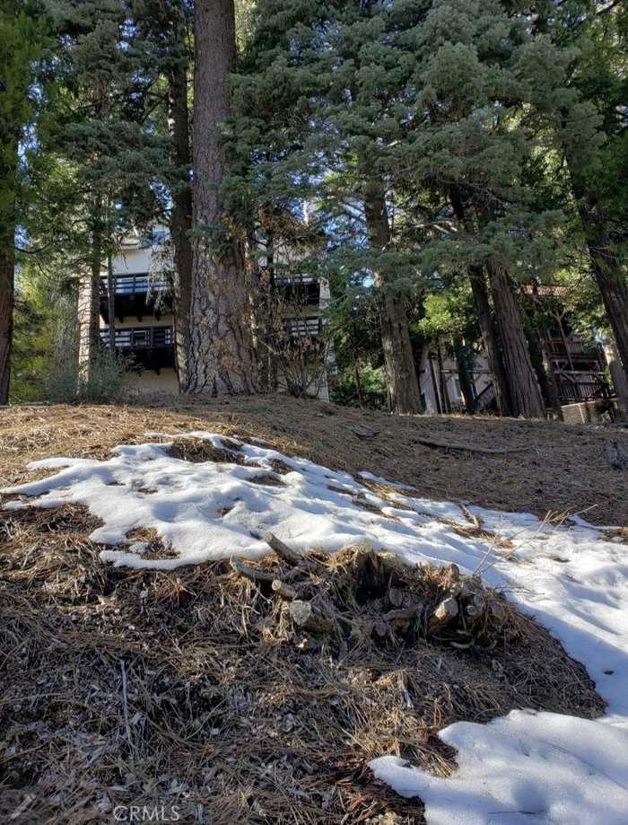 photo 2: 298 Birchwood Drive, Lake Arrowhead CA 92352