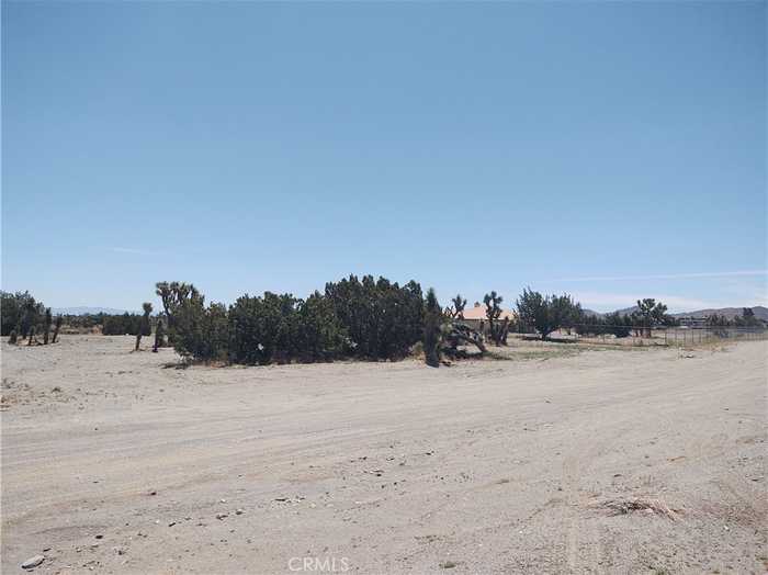 photo 11: NUGGET, Phelan CA 92329