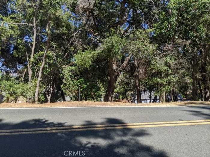 photo 2: 7910 Soda Bay Road, Kelseyville CA 95451