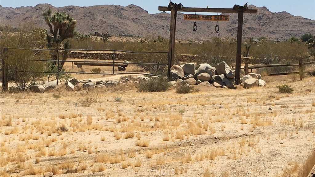 photo 3: 62551 Turtle Road, Joshua Tree CA 92252