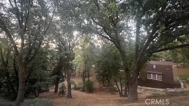 photo 3: 736 Dahlia Drive, Green Valley Lake CA 92341