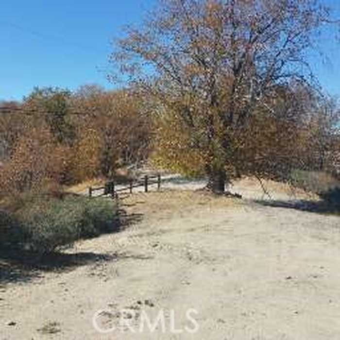 photo 1: 718 Cypress Road, Cedar Glen CA 92321