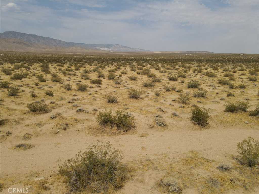 photo 3: Pony Rd., Johnson Valley CA 92356