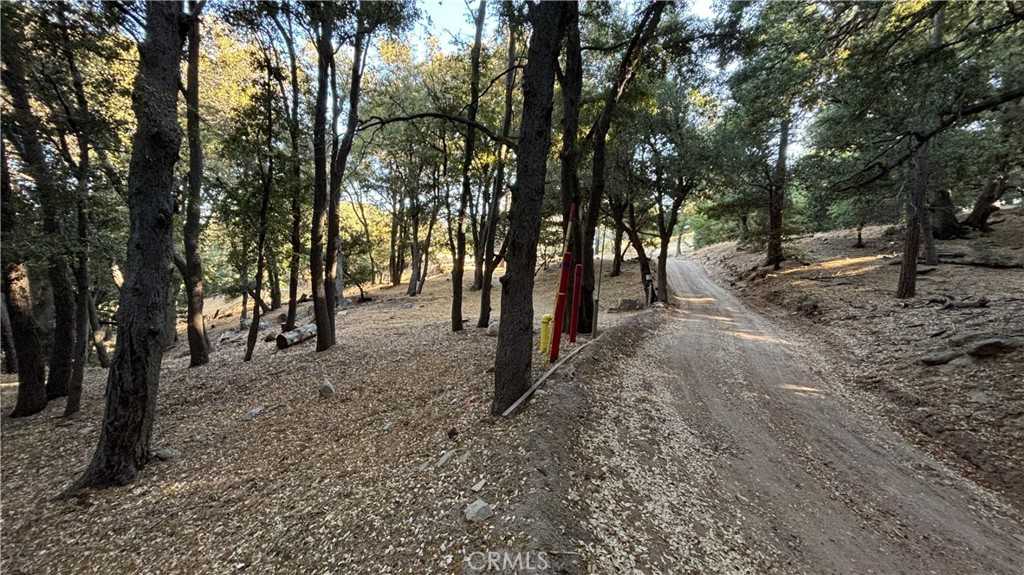 photo 2: 722 Mojave River Road, Cedarpines Park CA 92322