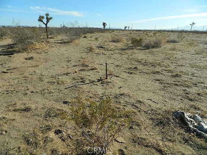 photo 2: Palmdale Road, Adelanto CA 92301