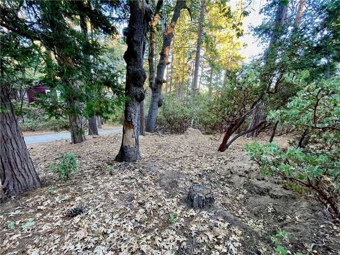 photo 2: Overlook, Idyllwild CA 92549