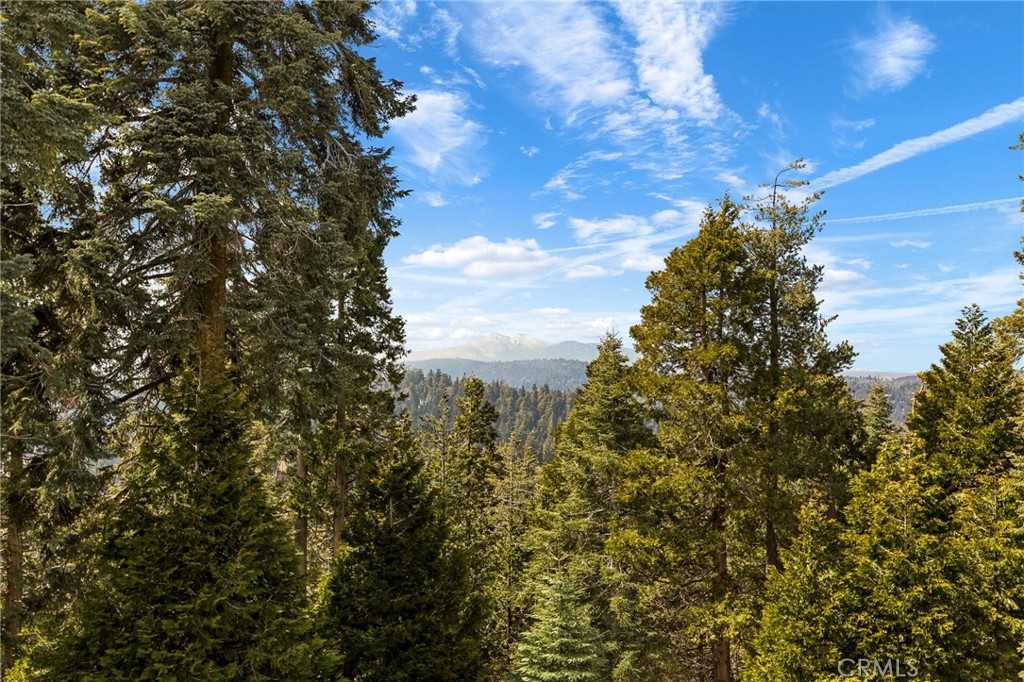 photo 3: 735 Oak Road, Lake Arrowhead CA 92352