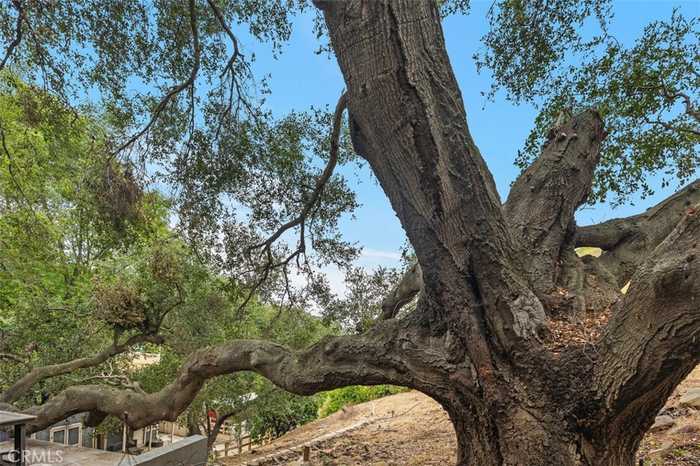 photo 48: 28271 Modjeska Canyon Road, Modjeska Canyon CA 92676