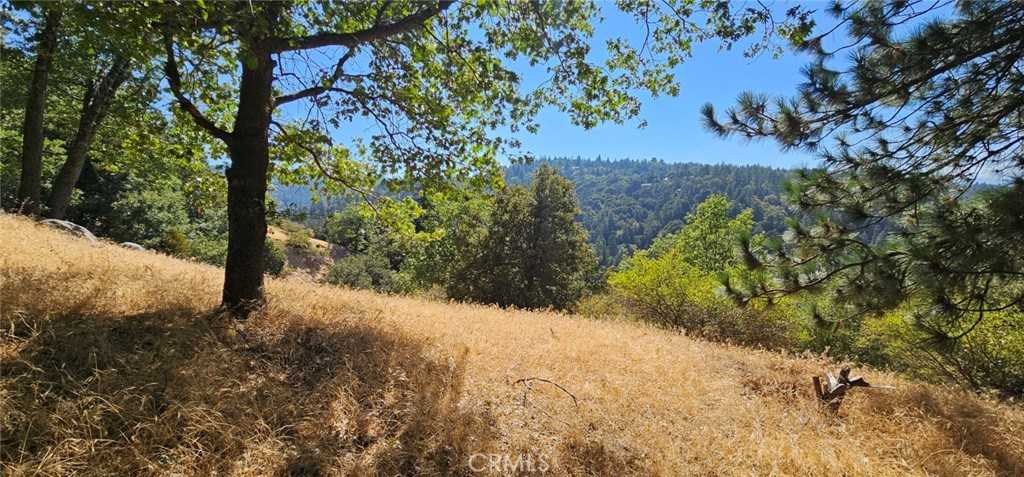 photo 3: Edelweiss Drive, Crestline CA 92325