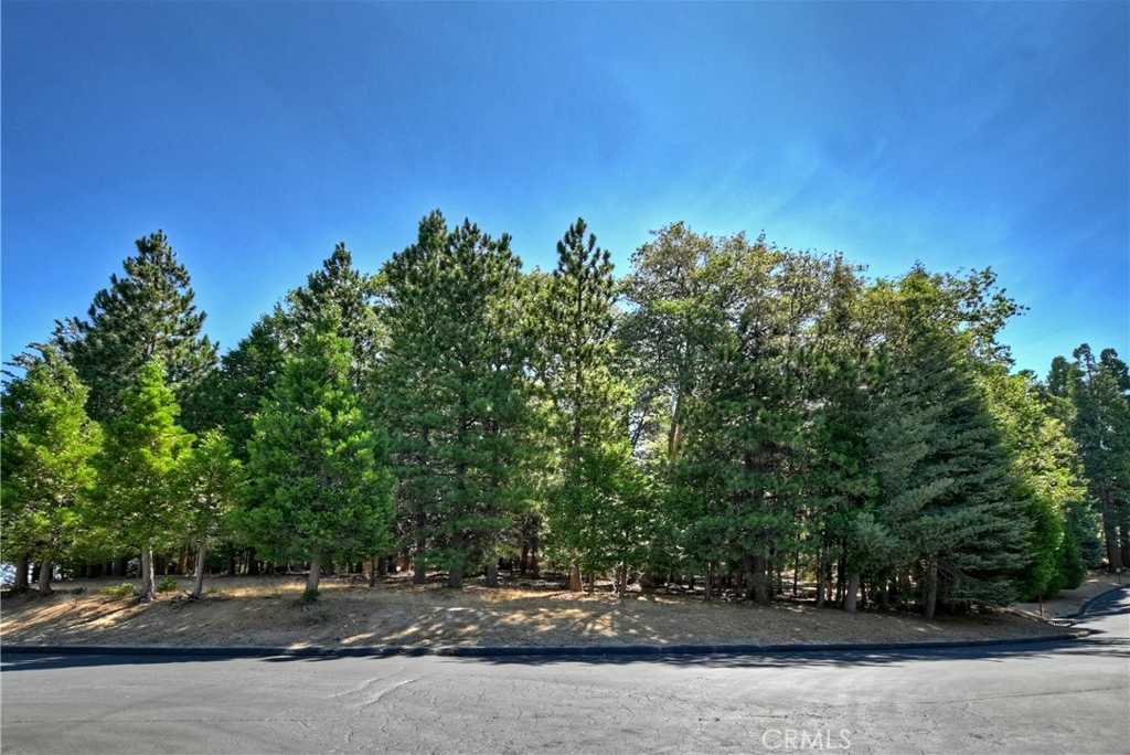 photo 2: 388 Cedar Ridge Drive, Lake Arrowhead CA 92352