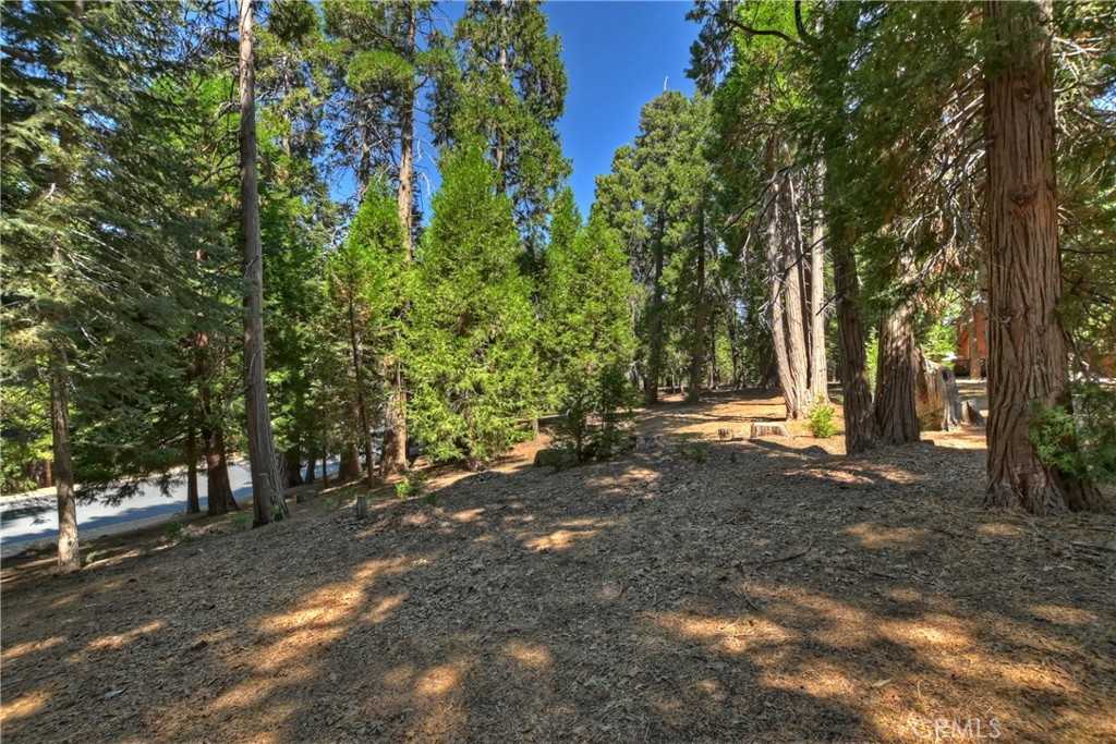 photo 3: 388 Cedar Ridge Drive, Lake Arrowhead CA 92352