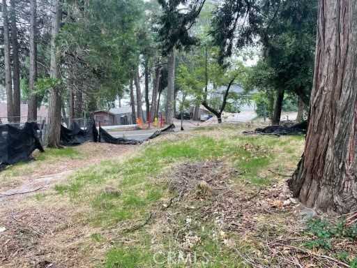 photo 1: 23416 Crestline Road, Crestline CA 92325