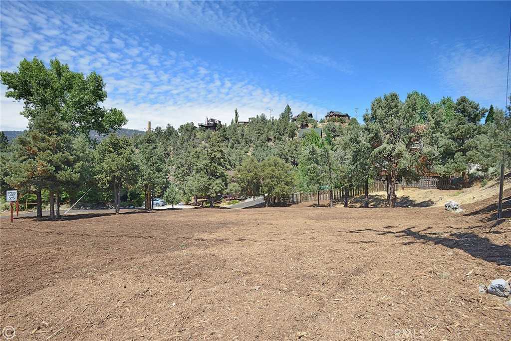 photo 3: 2029 St Bernard Drive, Pine Mountain Club CA 93222