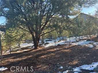 photo 1: 1604 Linden Drive, Pine Mountain Club CA 93222