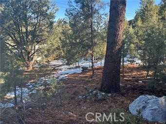 photo 2: 1604 Linden Drive, Pine Mountain Club CA 93222