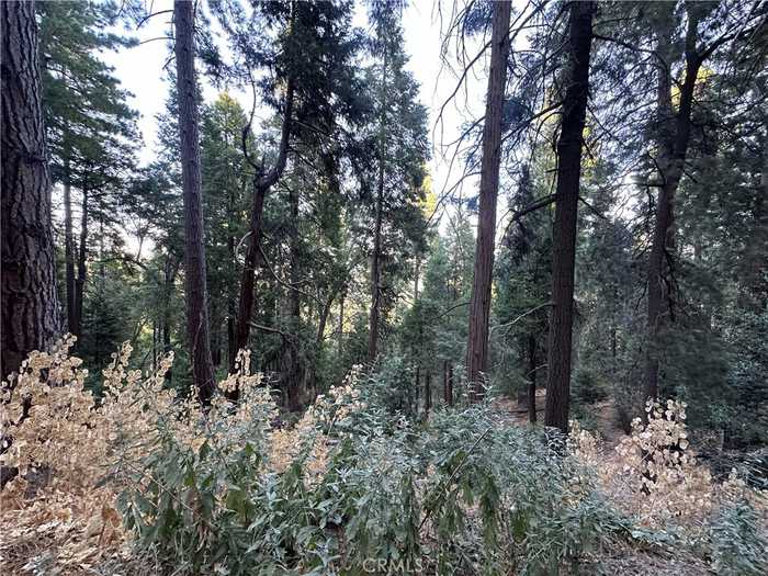 photo 3: Reservoir Road, Cedarpines Park CA 92322