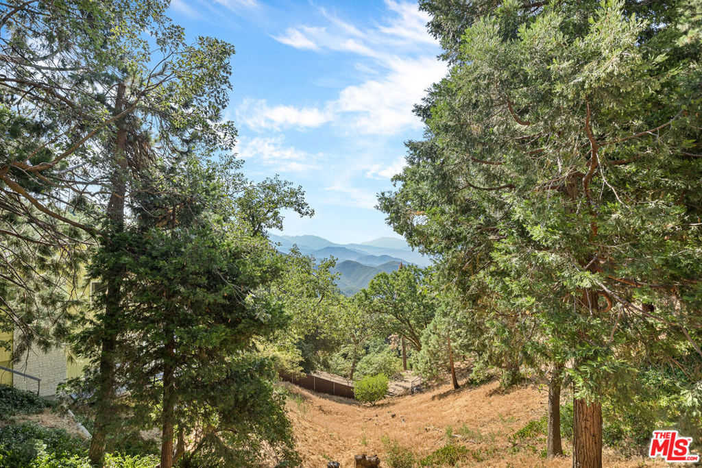 photo 1: 22771 Crest Forest Drive, Crestline CA 92325