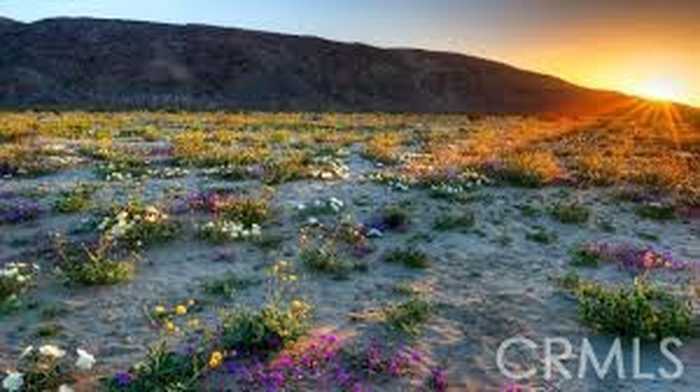 photo 4: 1 Broadway, Borrego Springs CA 92004