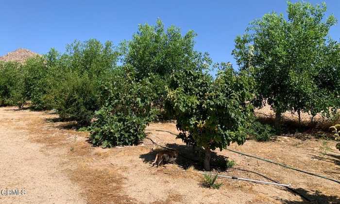 photo 53: 31212 Rabbit Springs Road, Lucerne Valley CA 92356