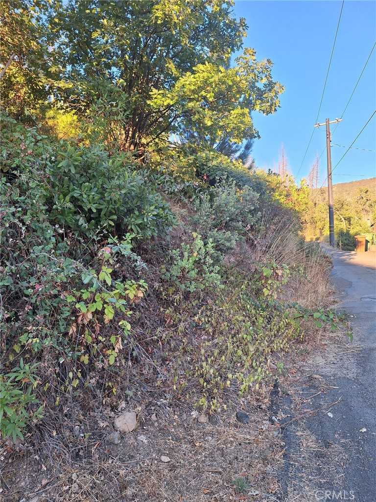 photo 3: 11081 Hot Springs Road, Middletown CA 95461