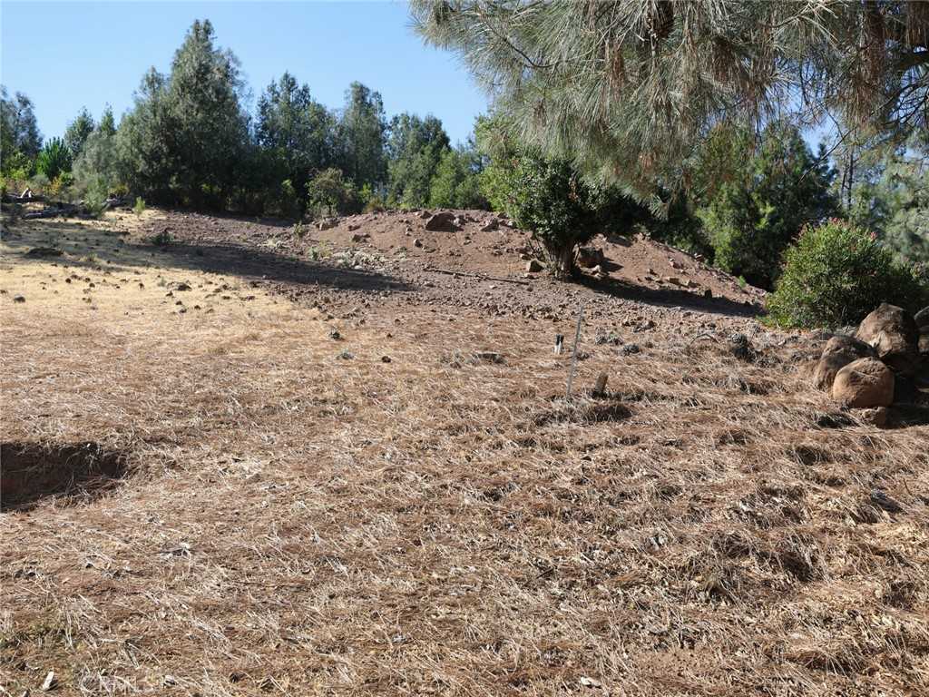 photo 3: 10535 Divot Court, Kelseyville CA 95451