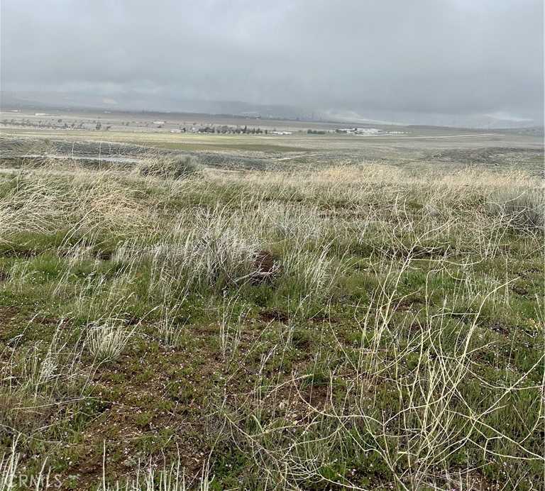 photo 2: Dotty Court, Tehachapi CA 93561