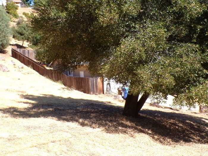 photo 2: 10822 Harbor Road, Kelseyville CA 95451