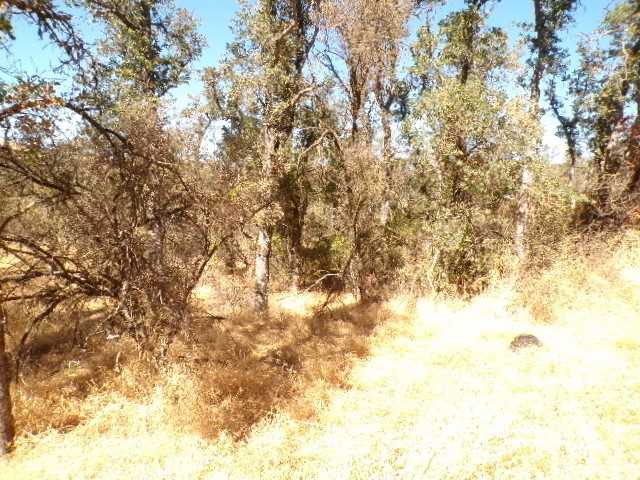 photo 1: 15656 34th Avenue, Clearlake CA 95422