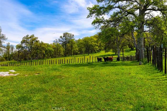 photo 1: 237 Acres White Rock Road, Mariposa CA 95338