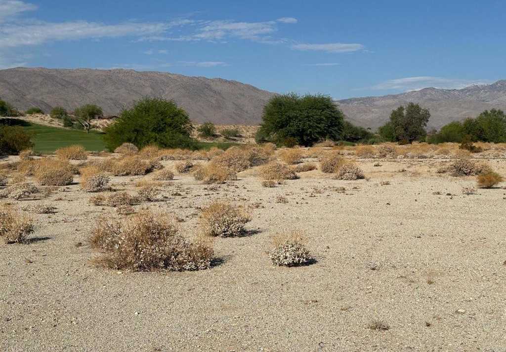 photo 2: Roadrunner Drive, Borrego Springs CA 92004