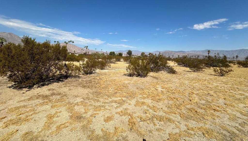 photo 3: Club Circle, Borrego Springs CA 92004