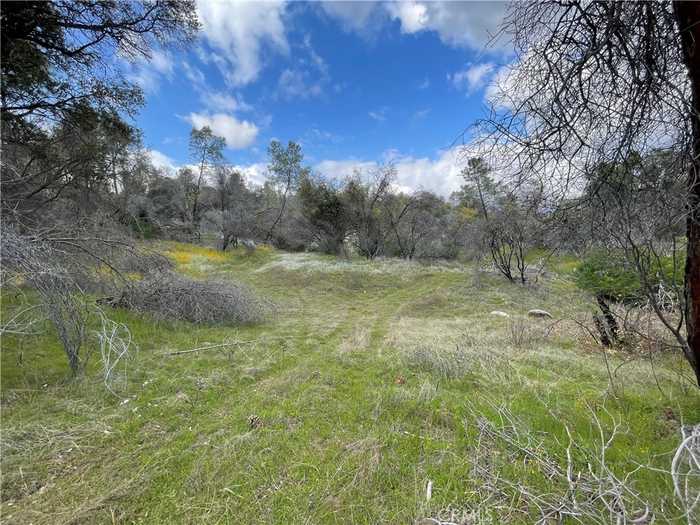 photo 24: 3786 Bronco Hollow Rd, Mariposa CA 95338