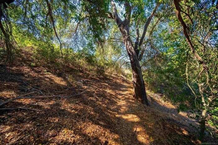 photo 39: Oak Canyon Rd, Poway CA 92064