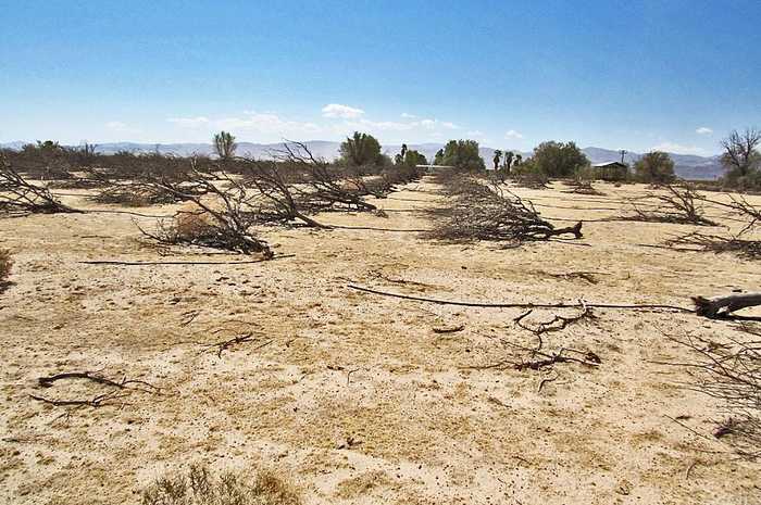 photo 2: Silver Valley Road, Newberry Springs CA 92365