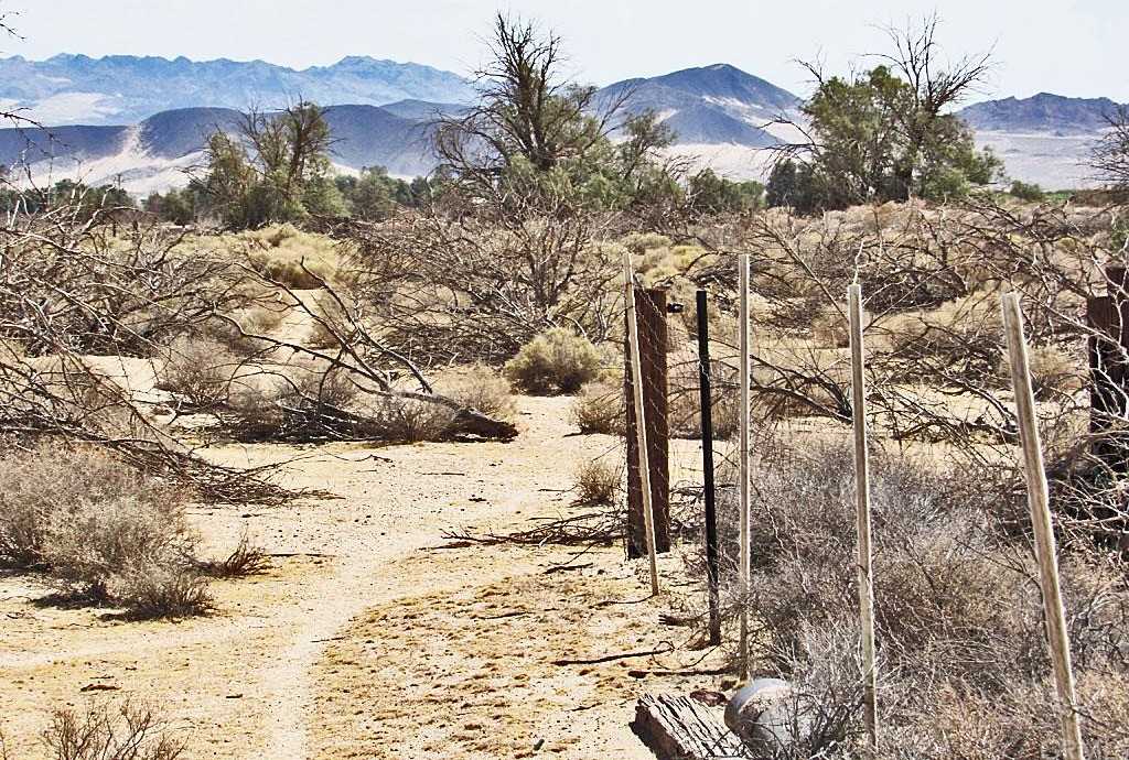 photo 3: Silver Valley Road, Newberry Springs CA 92365