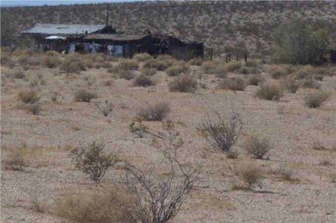 photo 3: Mannix, Newberry Springs CA 92365