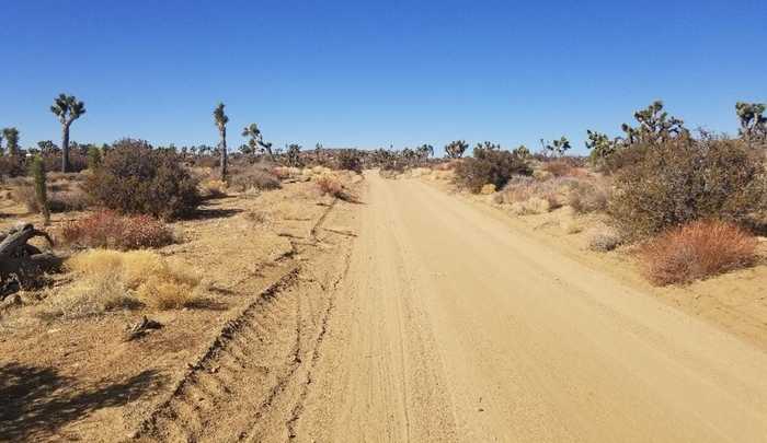 photo 2: Burns Canyon Road, Pioneertown CA 92268